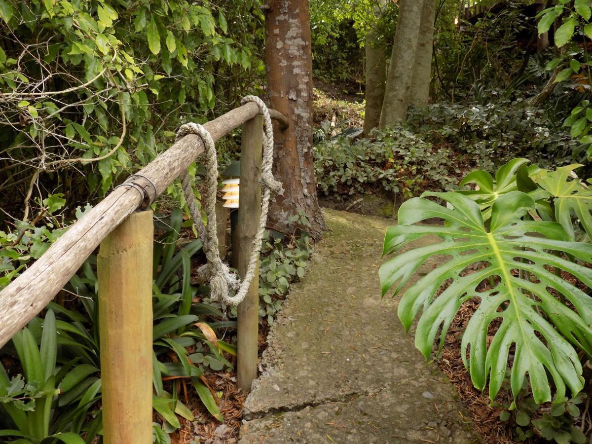 Protea Guest House Knysna Exterior photo