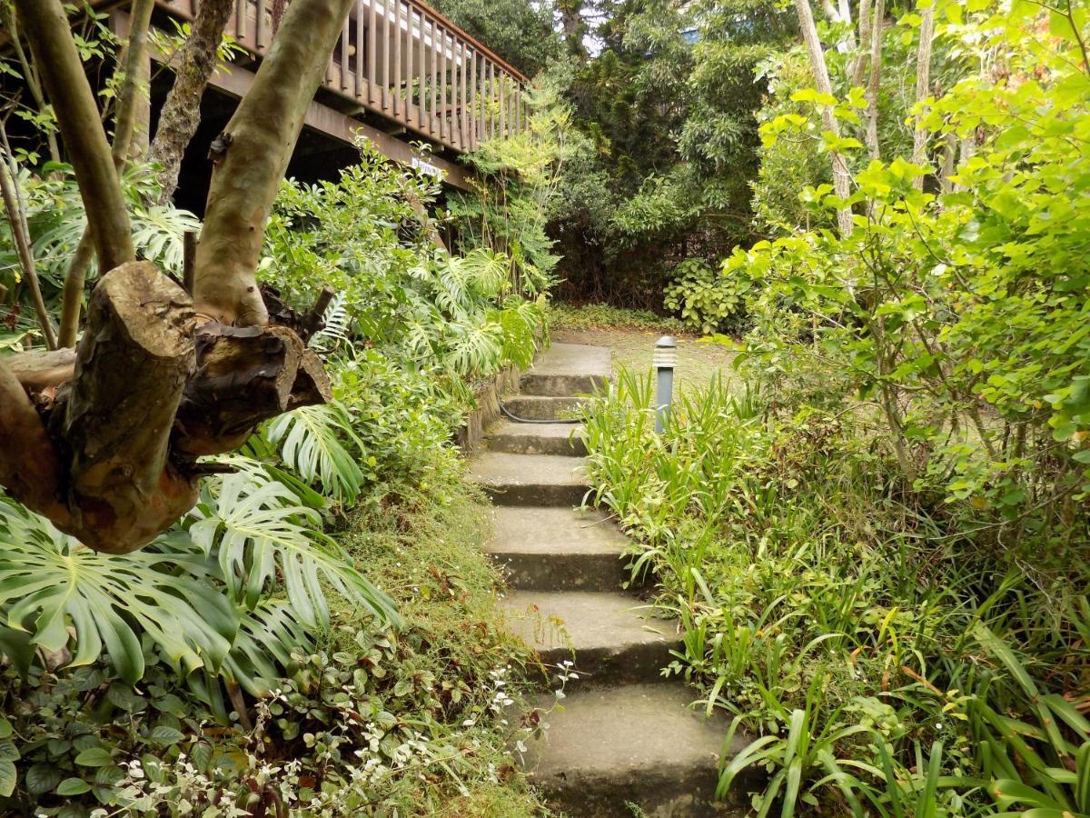 Protea Guest House Knysna Exterior photo