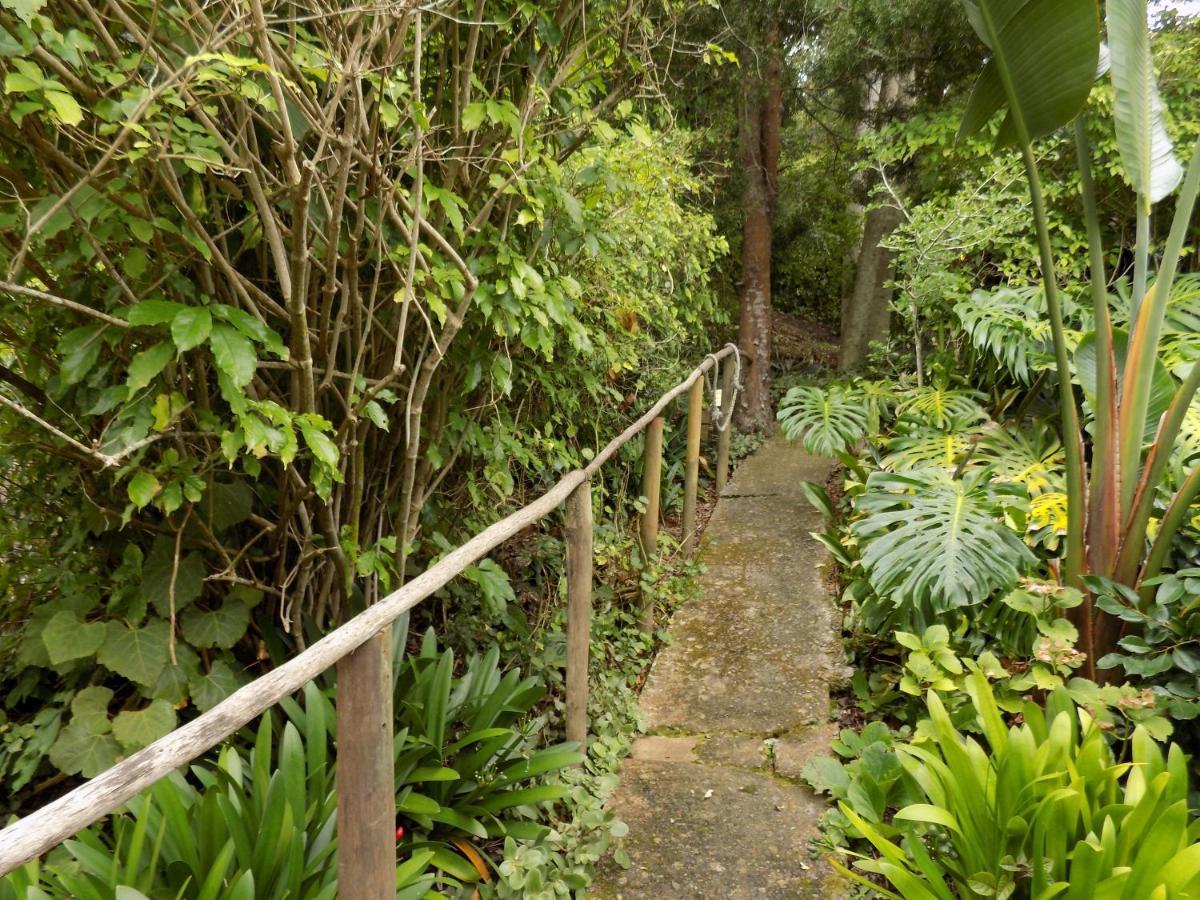 Protea Guest House Knysna Exterior photo