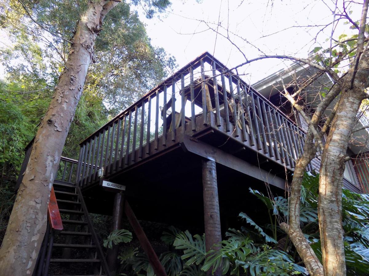Protea Guest House Knysna Exterior photo