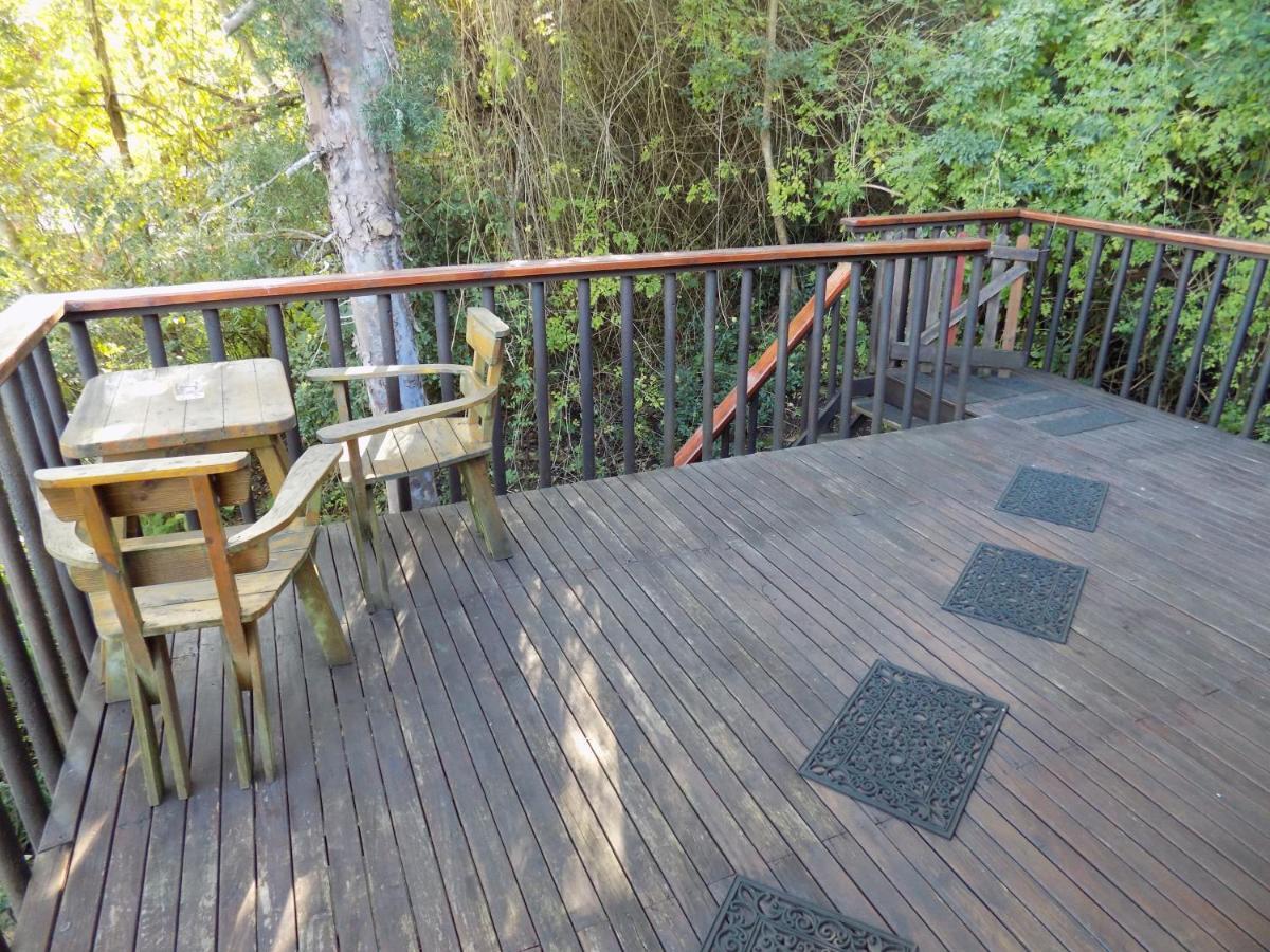 Protea Guest House Knysna Exterior photo