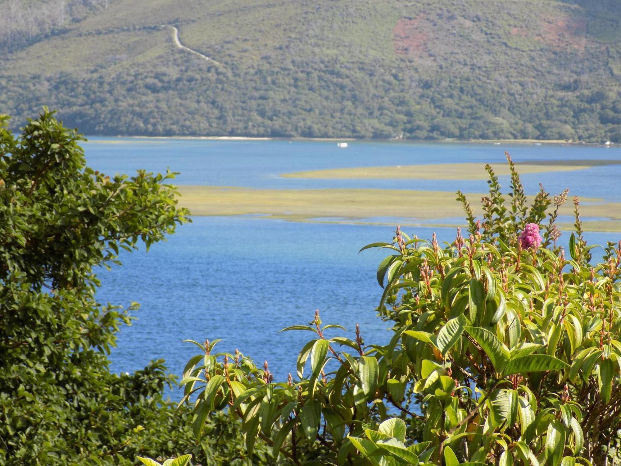 Protea Guest House Knysna Room photo